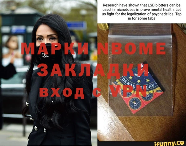 прущие грибы Абдулино