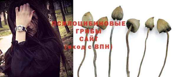альфа пвп Покачи
