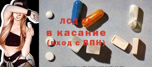 прущие грибы Абдулино