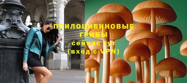 прущие грибы Абдулино