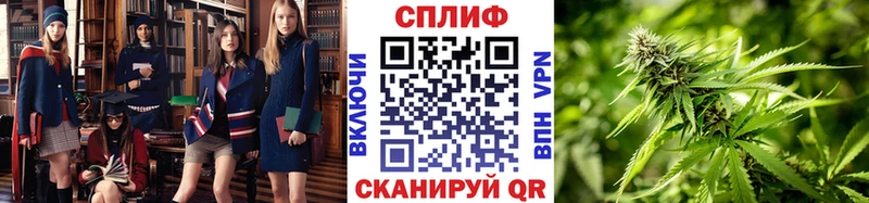 продажа наркотиков  Белый  Шишки марихуана MAZAR 